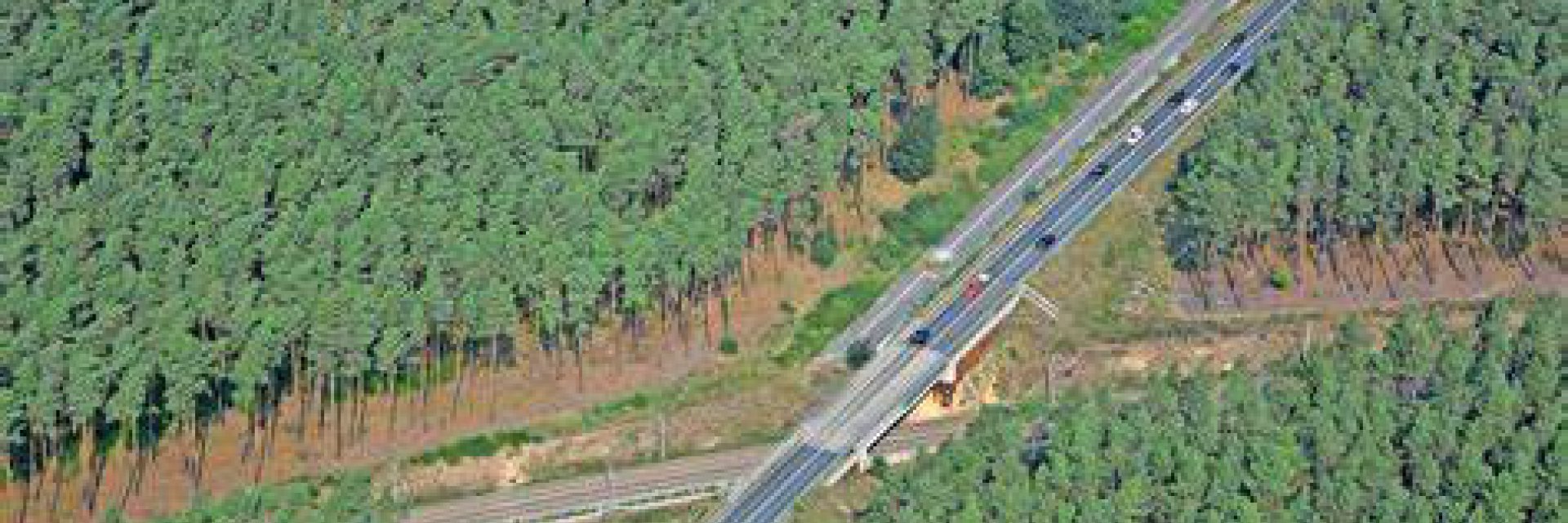 Construction of the Hubertus motorway junction on the A 117 near Waltersdorf, Germany